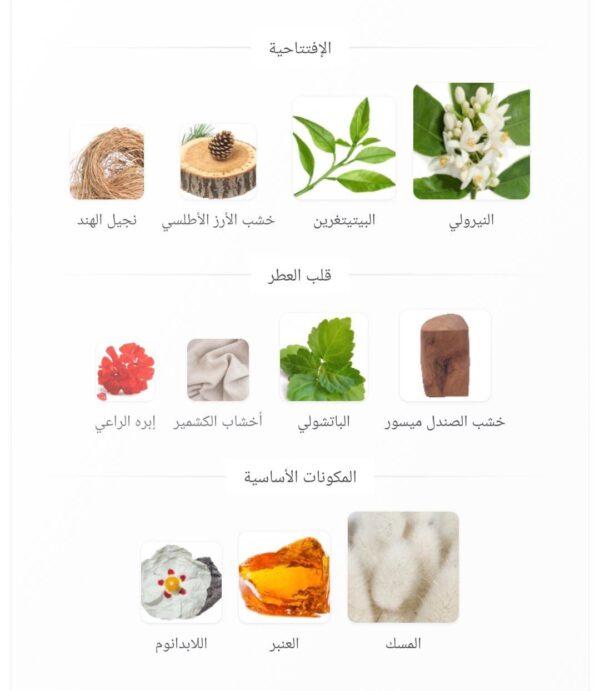 WhatsApp Image 2026 08 18 at 8 34 59 AM 1 600x691