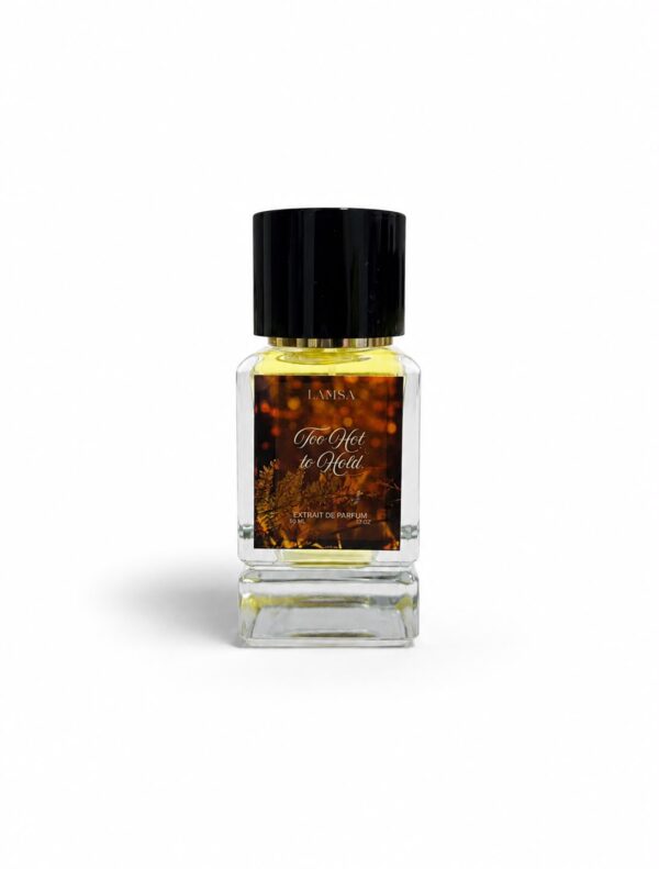 Too hot to Hold Inspired from Gris Charnel Extrait (Unisex)