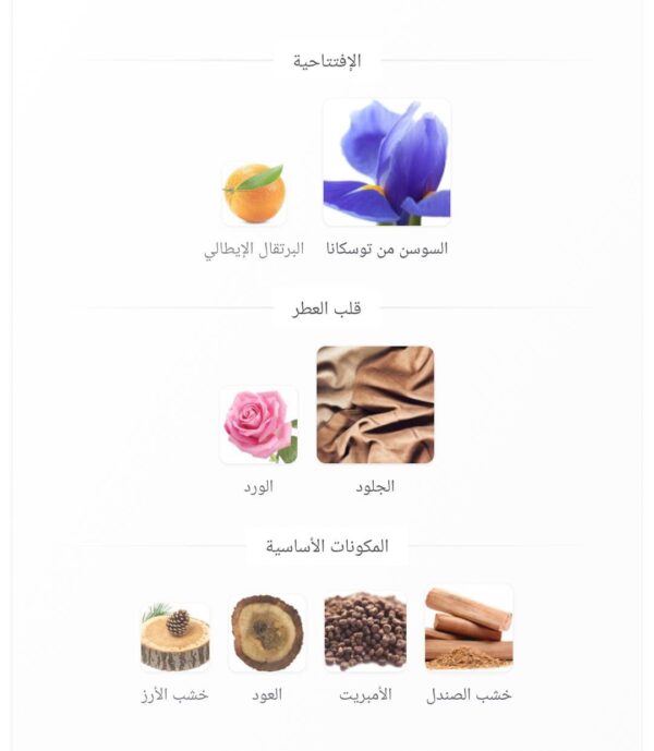 WhatsApp Image 2026 08 18 at 8 35 06 AM 1 1 600x689