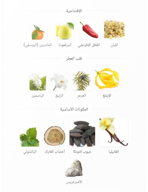 WhatsApp Image 2026 08 18 at 8 35 06 AM 600x777